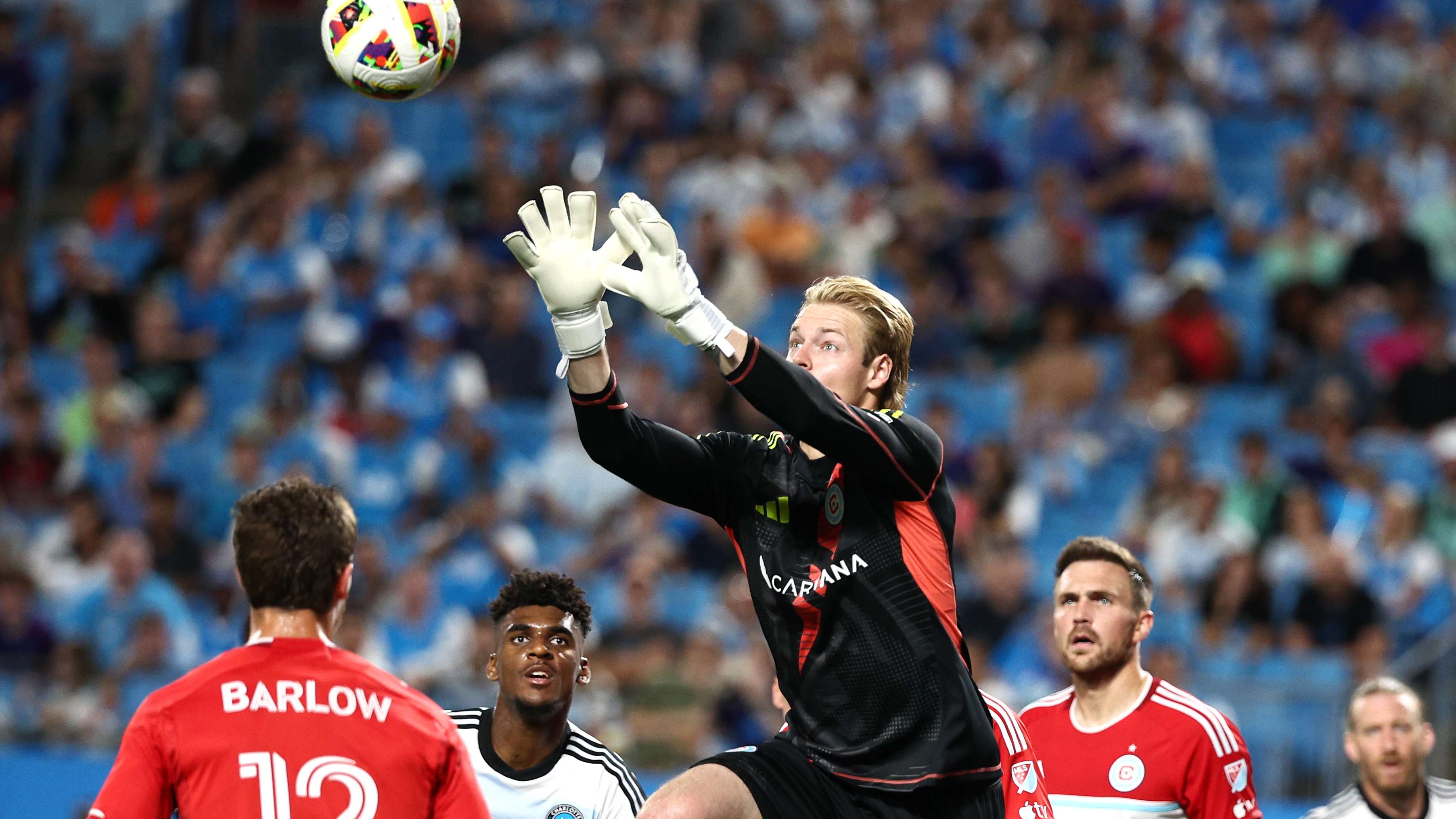 球爱好者不 球爱好者不